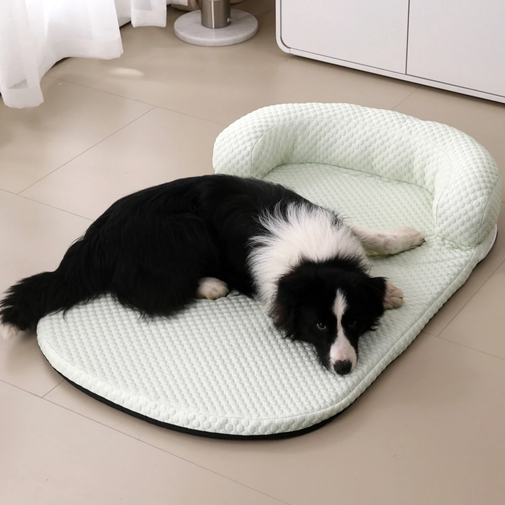 Chien allongé sur un lit d’été vert pastel, respirant et confortable