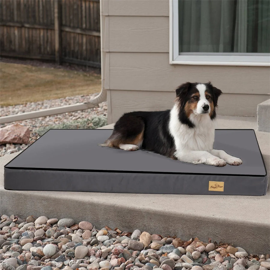 lit orthopédique et coussin imperméable pour chien gris avec housse lavable BORWART
Le chien se détend et est relaxé