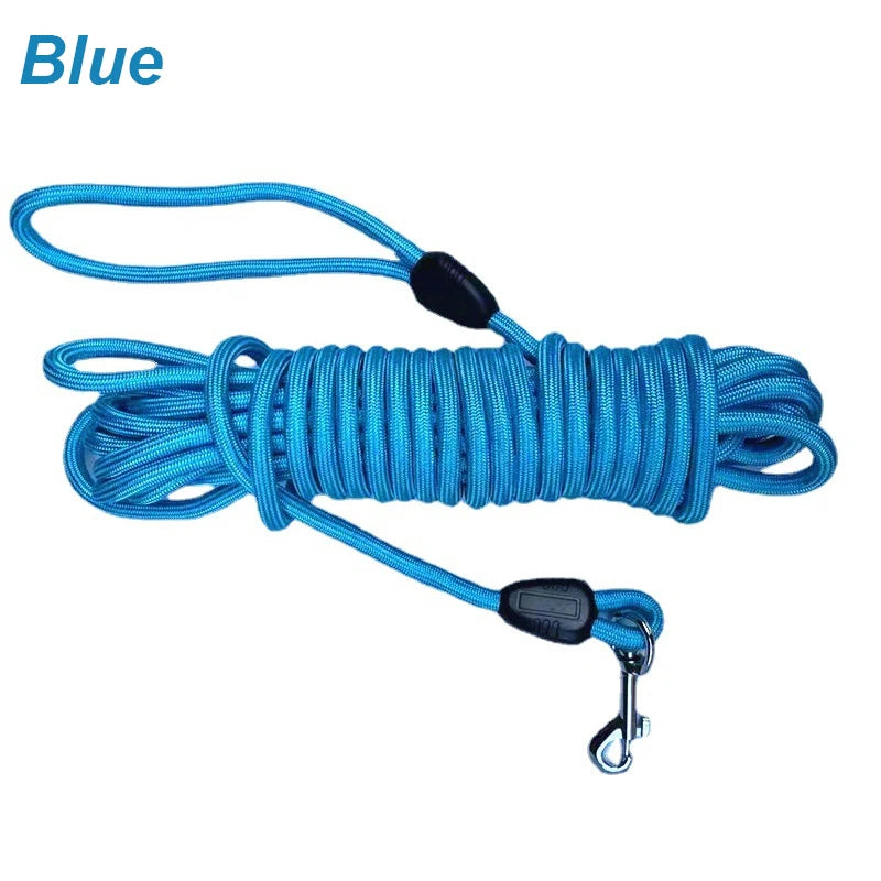 Longe bleue pour chien en nylon tressé, pratique pour les promenades et l’éducation.