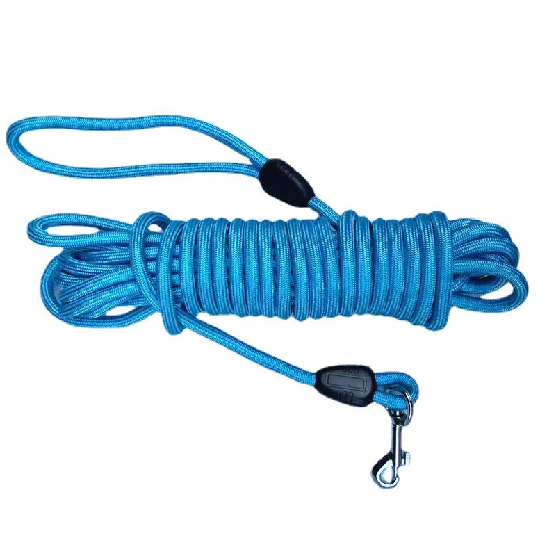 Longe bleue pour chien en nylon tressé, pratique pour les promenades et l’éducation.