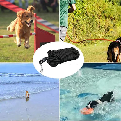 Chien en mouvement avec longe dans la nature, idéale pour l’éducation et le rappel.