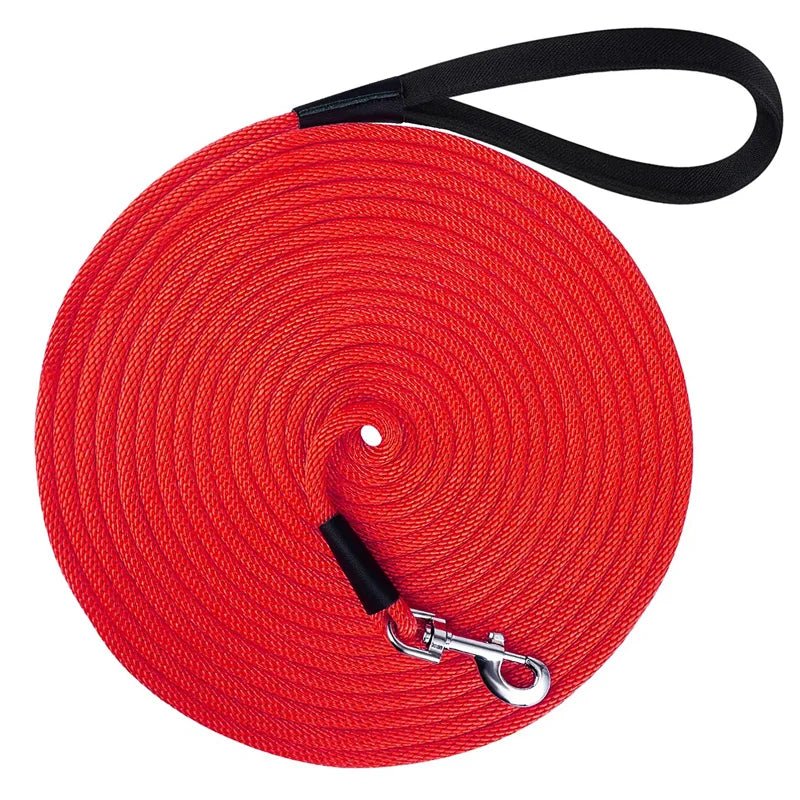 Longe de Dressage pour Chien – 15 m / 30 m / 50 m – Entraînement et Liberté - Noble Truffe