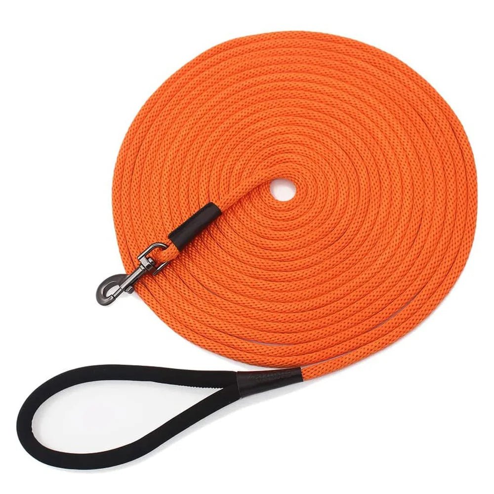 Longe de Dressage pour Chien – 15 m / 30 m / 50 m – Entraînement et Liberté - Noble Truffe