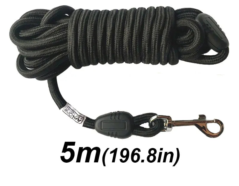 Longe pour chien de 5 mètres noire, solide et légère, pour liberté contrôlée en plein air.