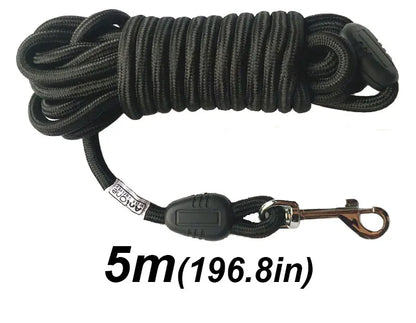 Longe pour chien de 5 mètres noire, solide et légère, pour liberté contrôlée en plein air.