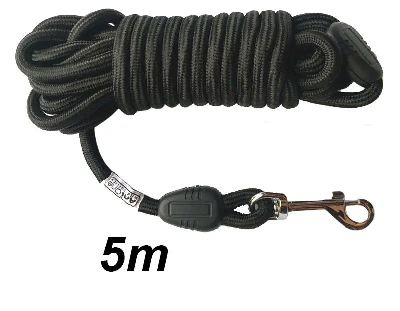 Longe pour chien de 5 mètres noire, solide et légère, pour liberté contrôlée en plein air.
