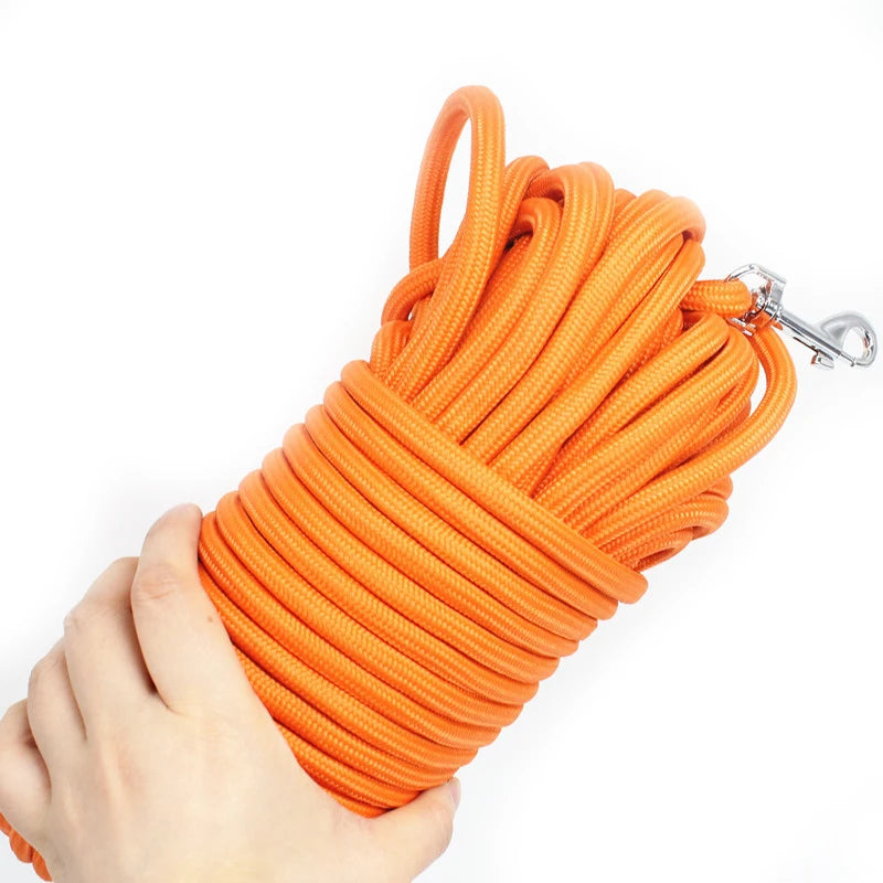 Gros plan sur le mousqueton métallique de la longe orange pour chien.