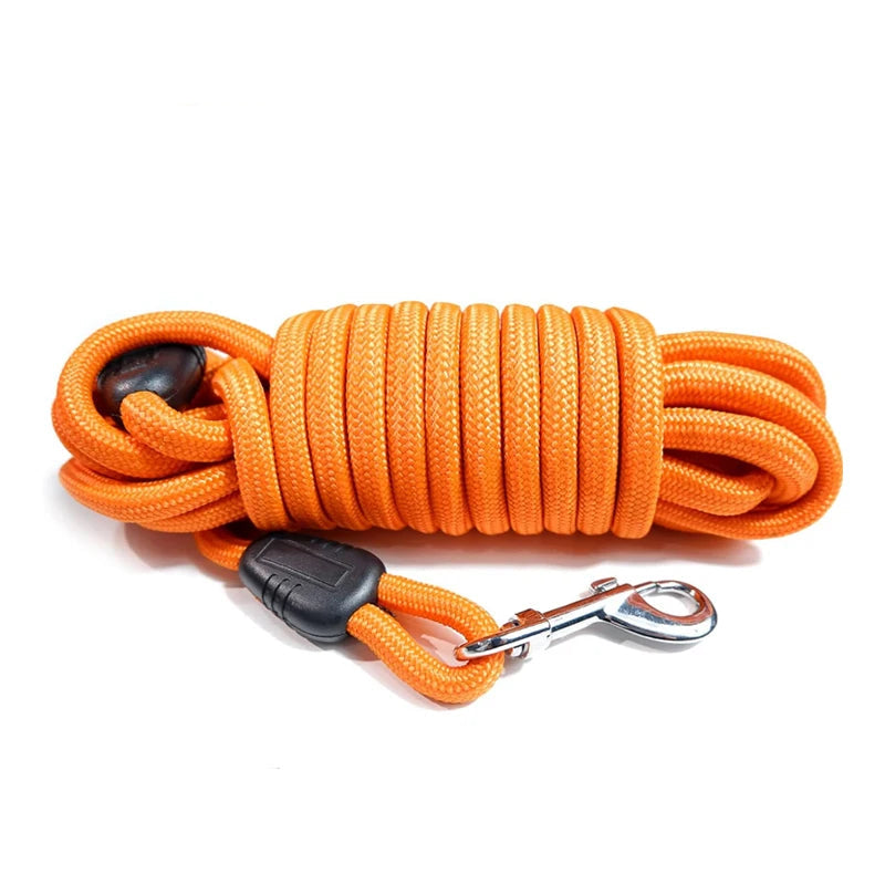 Longe orange robuste pour chien, parfaite pour les activités sportives en extérieur.