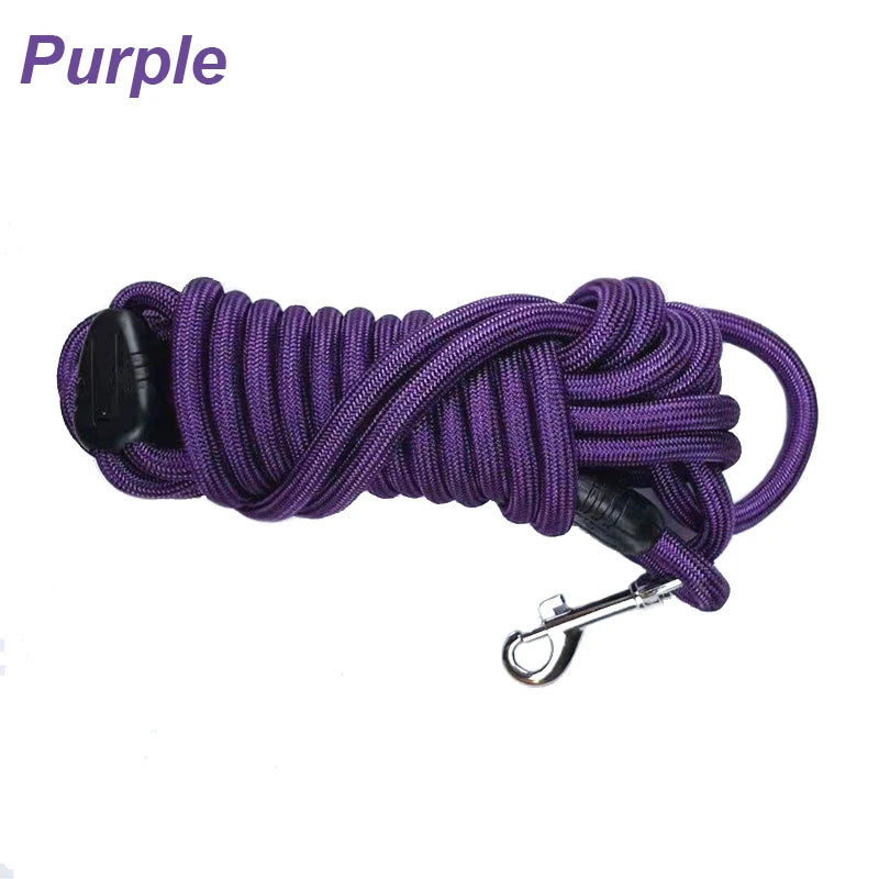Longe violette résistante pour chien, parfaite pour les exercices d’agilité ou de rappel.
