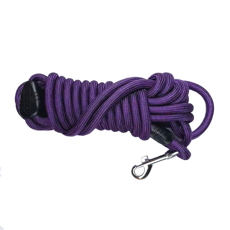 Longe violette résistante pour chien, parfaite pour les exercices d’agilité ou de rappel.