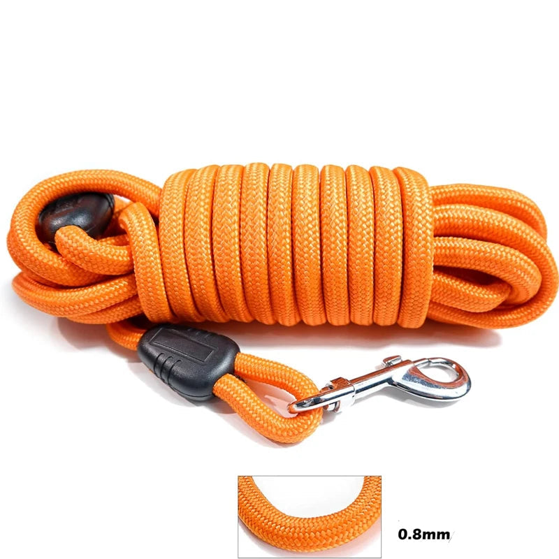 Longe orange pour chien, corde résistante avec mousqueton métallique pour dressage ou promenade.
