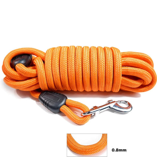 Longe orange pour chien, corde résistante avec mousqueton métallique pour dressage ou promenade.