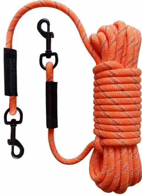 Longe noire pour chien, parfaite pour exercices de rappel
