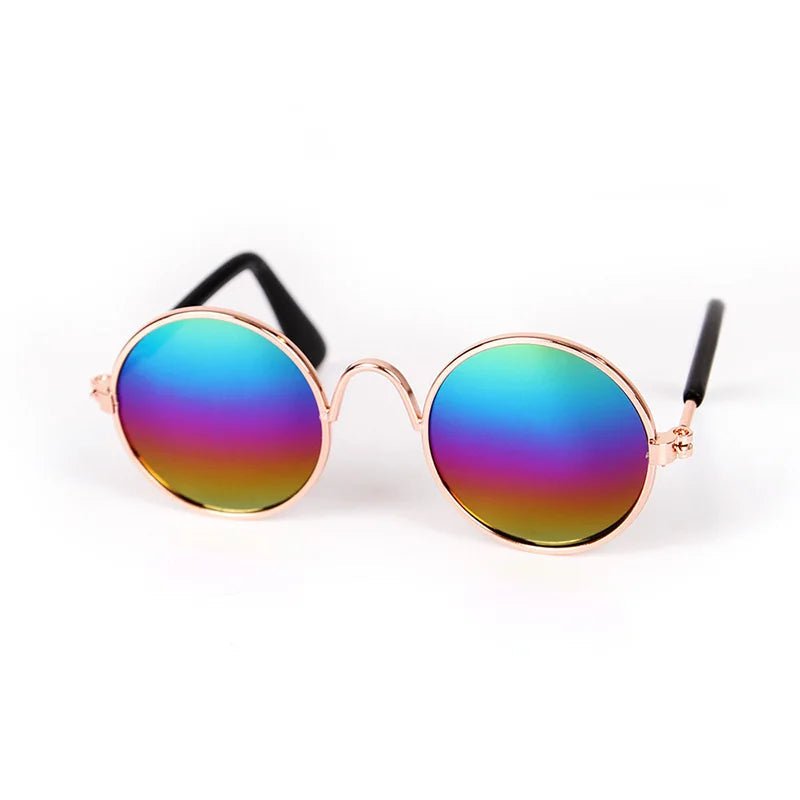 Lunettes Chien Rétro Rondes – Accessoire Photo & Cosplay Chien - Noble Truffe