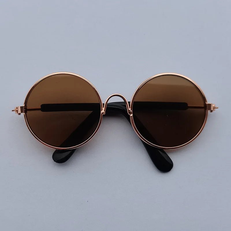 Lunettes Chien Rétro Rondes – Accessoire Photo & Cosplay Chien - Noble Truffe