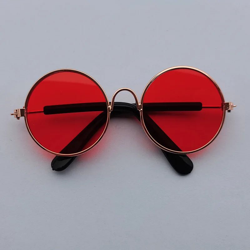 Lunettes Chien Rétro Rondes – Accessoire Photo & Cosplay Chien - Noble Truffe