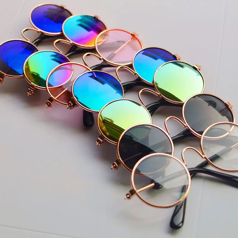 Lunettes Chien Rétro Rondes – Accessoire Photo & Cosplay Chien - Noble Truffe