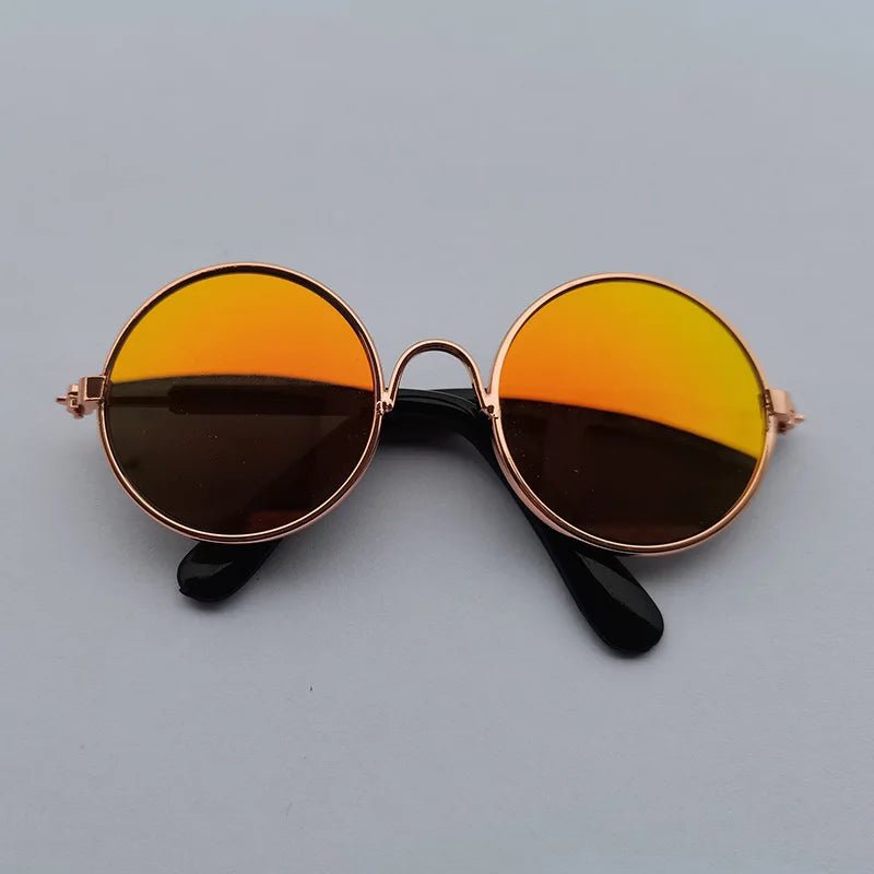 Lunettes Chien Rétro Rondes – Accessoire Photo & Cosplay Chien - Noble Truffe