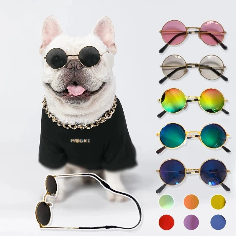 Lunettes Chien Rétro Rondes – Accessoire Photo & Cosplay Chien - Noble Truffe
