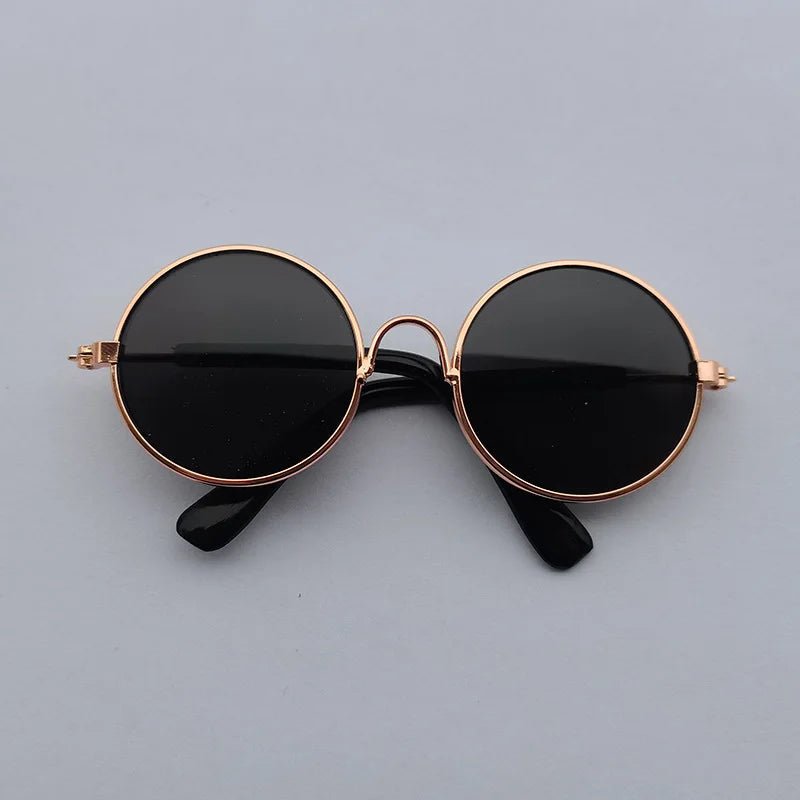Lunettes Chien Rétro Rondes – Accessoire Photo & Cosplay Chien - Noble Truffe