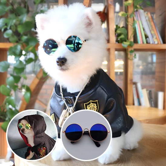 Lunettes Chien Rétro Rondes – Accessoire Photo & Cosplay Chien - Noble Truffe
