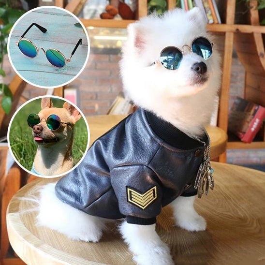 Lunettes Chien Rétro Rondes – Accessoire Photo & Cosplay Chien - Noble Truffe