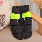 NordicPaws™ Waterproof and Warm Dog Coat 