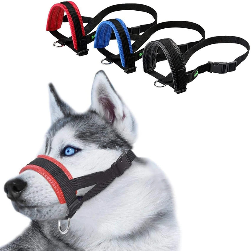 Trois muselières en nylon pour chien, présentées en noir, bleu et rouge, avec sangles ajustables.