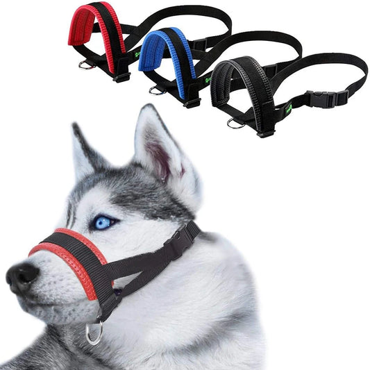 Trois muselières en nylon pour chien, présentées en noir, bleu et rouge, avec sangles ajustables.