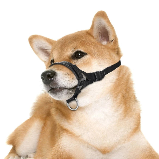 Chien Shiba Inu portant une muselière en nylon noire ajustable, confortable et sécurisée.