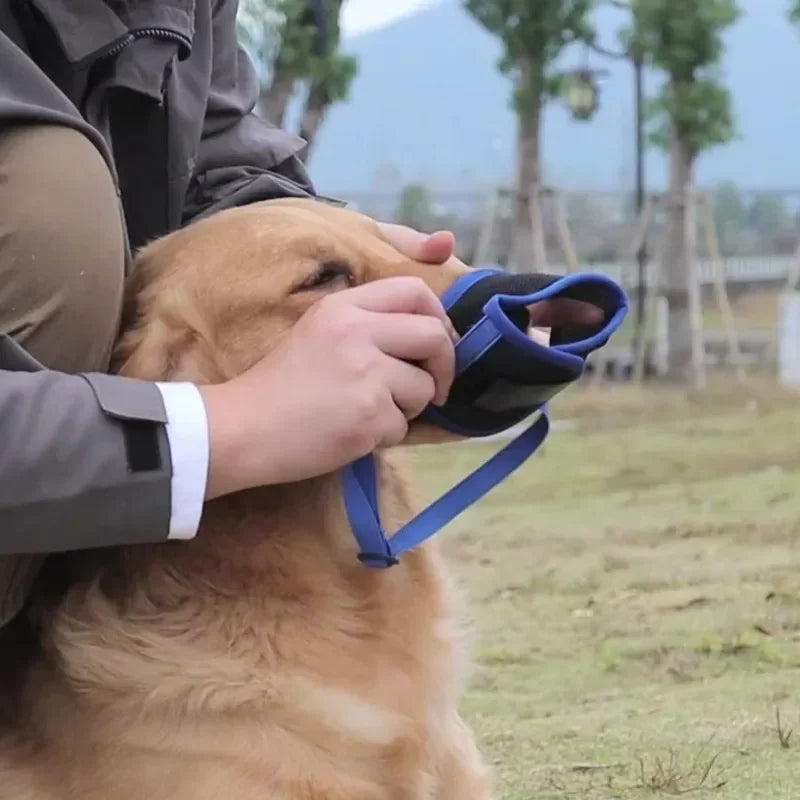 Une personne met en place une muselière ajustable bleue sur son chien pour assurer sécurité et confort.