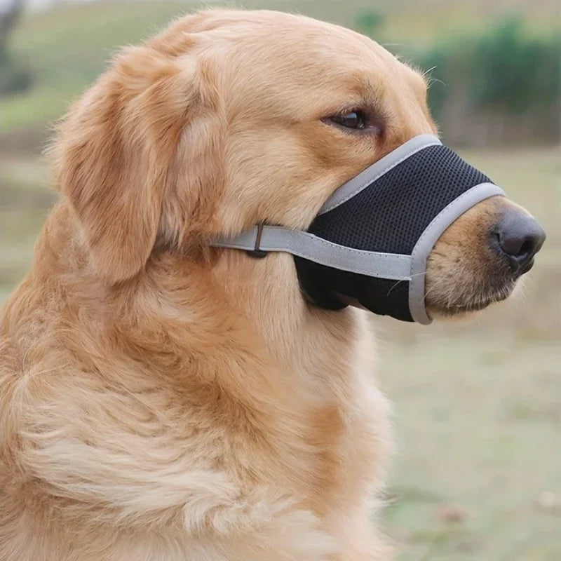 hien assis portant une muselière pour chien respirante grise, confortable et adaptée aux grands museaux.