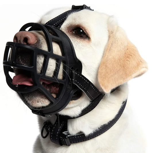 Labrador beige portant une muselière panier réfléchissante noire, respirante et sécurisée pour éviter les morsures.