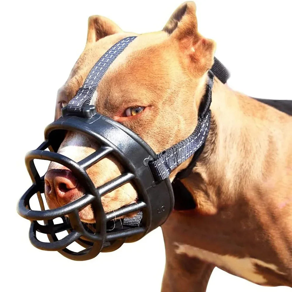 Pitbull marron portant une muselière panier réfléchissante noire, robuste et confortable pour limiter morsures et mastication.