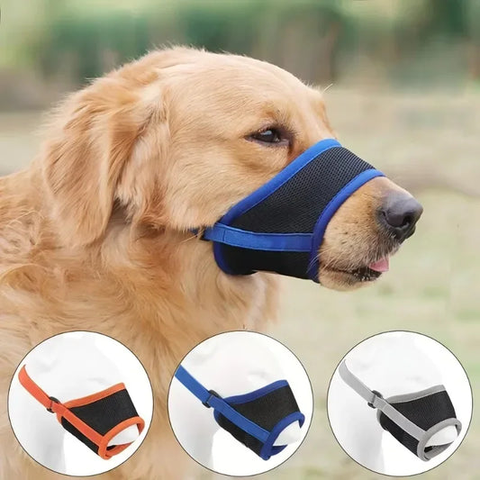 Un golden retriever porte une muselière pour chien respirante de couleur bleue, conçue pour empêcher les morsures tout en laissant respirer.