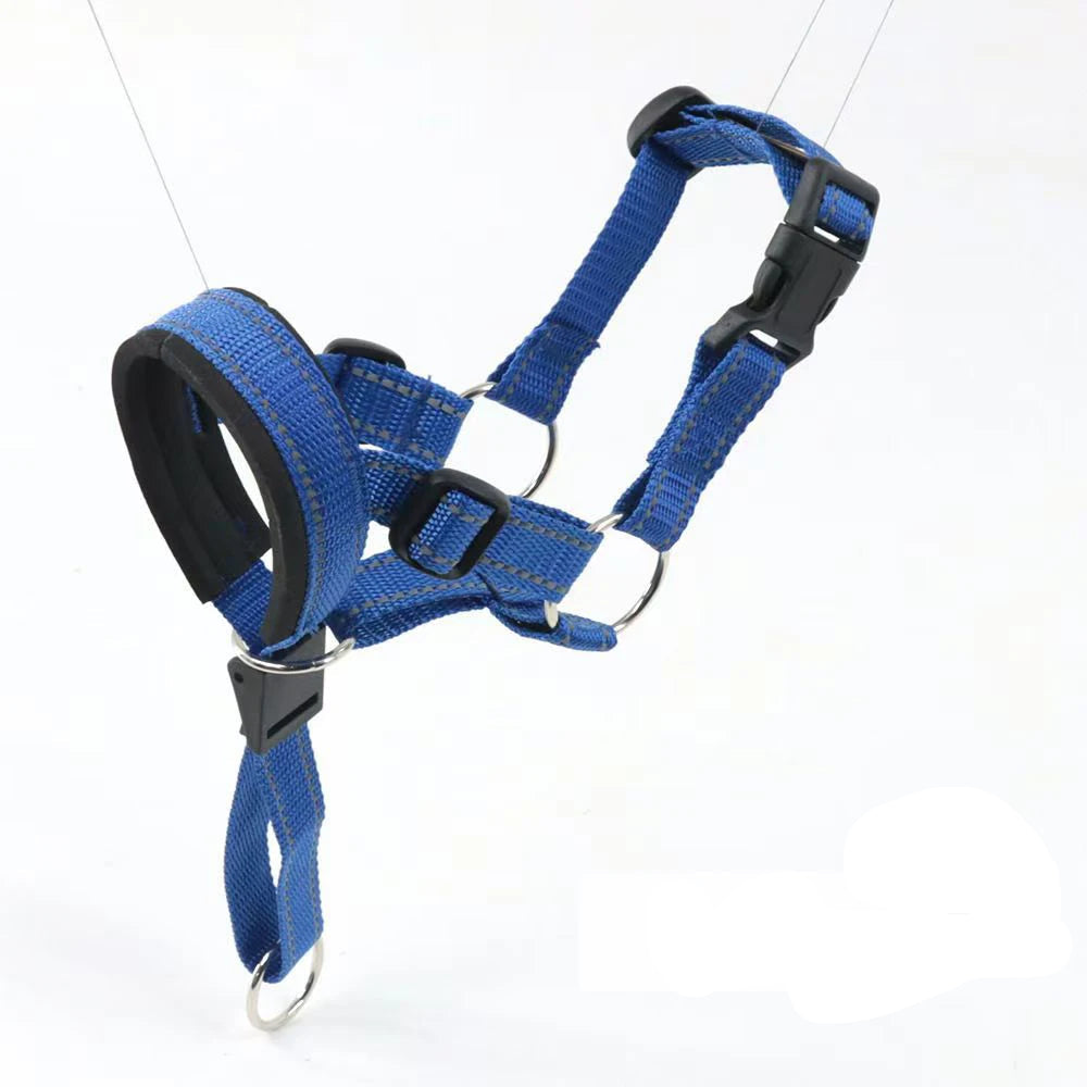 Muselière pour grand chien de couleur bleue avec sangles réglables et fermeture renforcée.