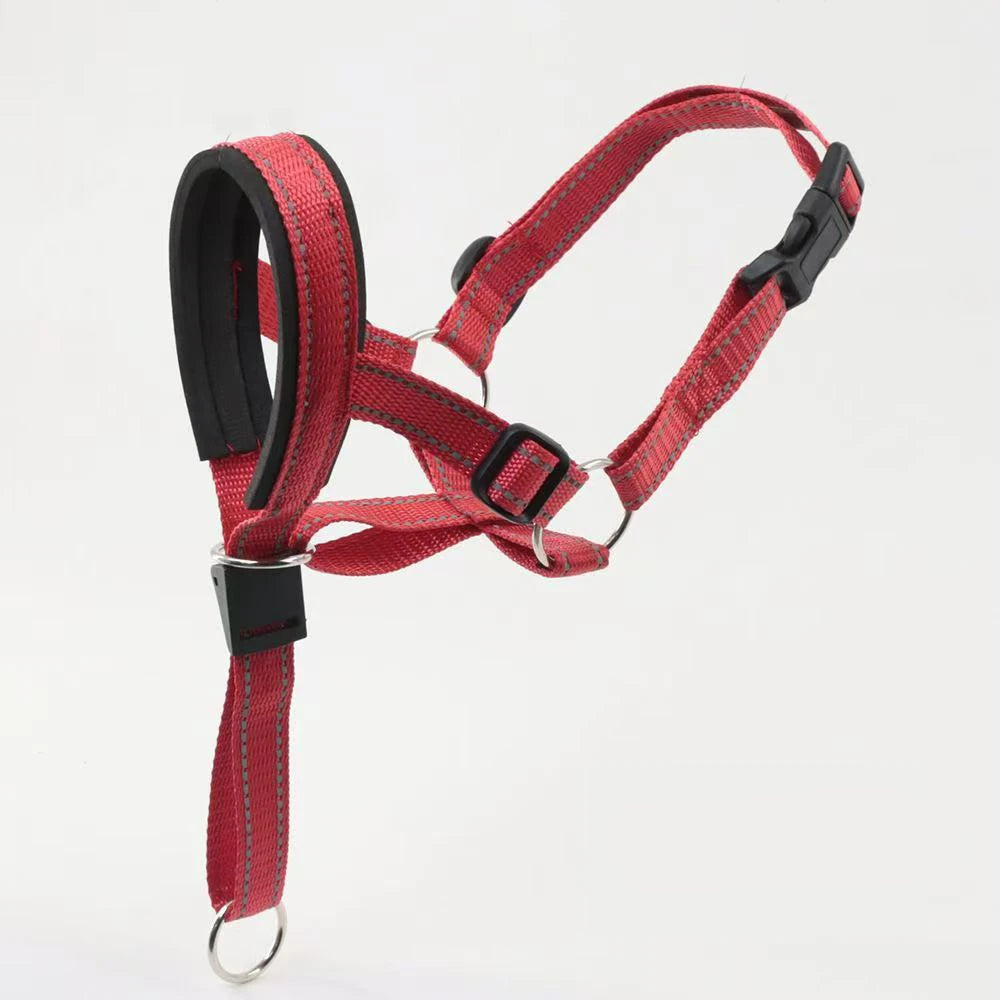 Muselière pour grand chien rouge, réglable et robuste, adaptée aux promenades et entraînements.