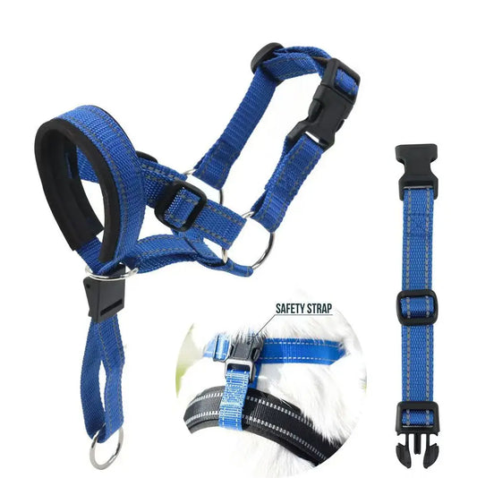 Ensemble muselière et laisse bleue pour grand chien, ajustable avec boucle de sécurité.
