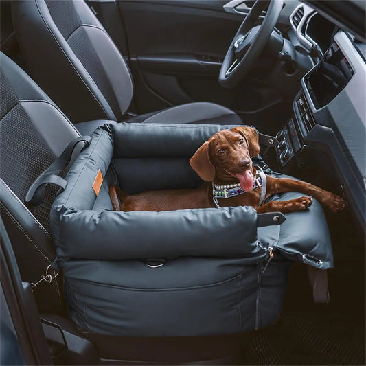 Petit chien installé dans un panier de voiture noir fixé sur le siège passager, sécurisé avec des sangles.
