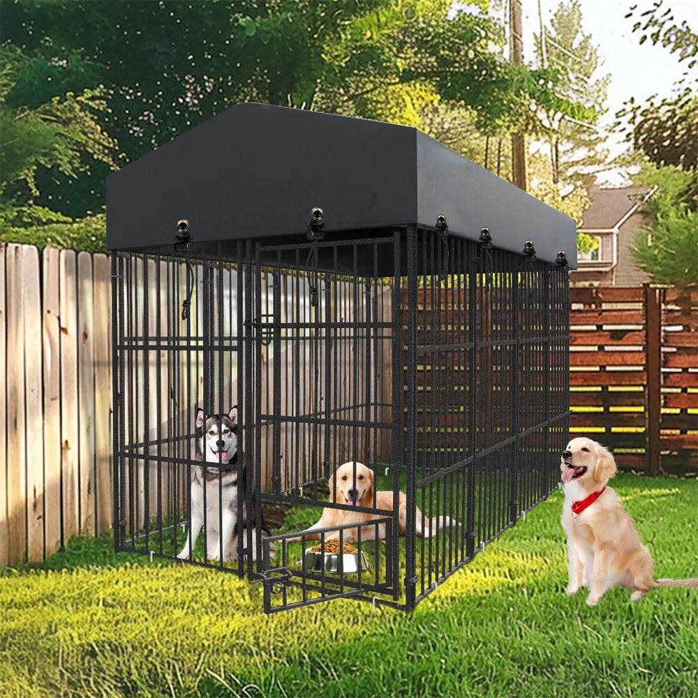 Deux chiens profitant de leur enclos grillagé avec toit noir dans un jardin privé.