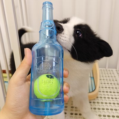 Jouet Chien | Bouteille Tennis Interactive