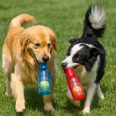 Jouet Chien | Bouteille Tennis Interactive