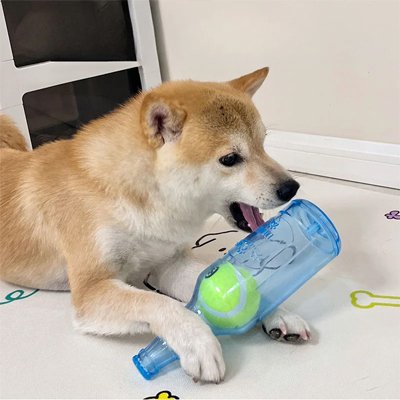 Jouet Chien | Bouteille Tennis Interactive