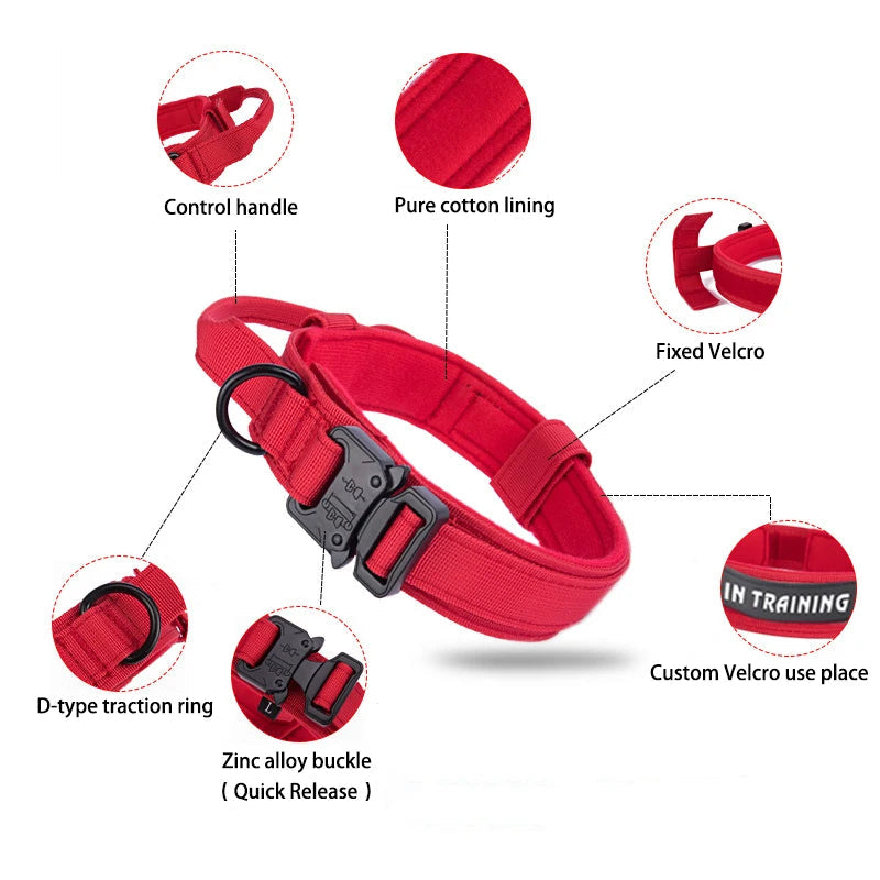 Détail des composants du collier tactique pour chien – boucle rapide, sangles réglables et zones réfléchissantes.