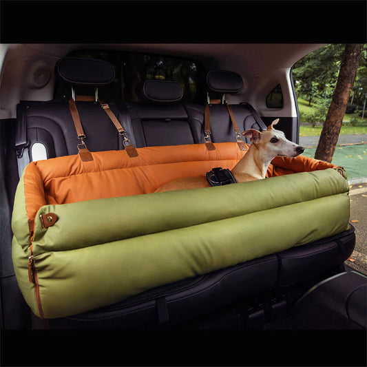 Chien assis dans un siège auto pour chien imperméable vert et orange fixé sur la banquette arrière.