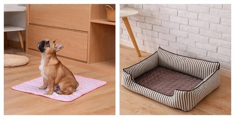 Tapis pour Chien Rafraichissant en Été & Lavable | Petits à Grands Chiens - Noble Truffe