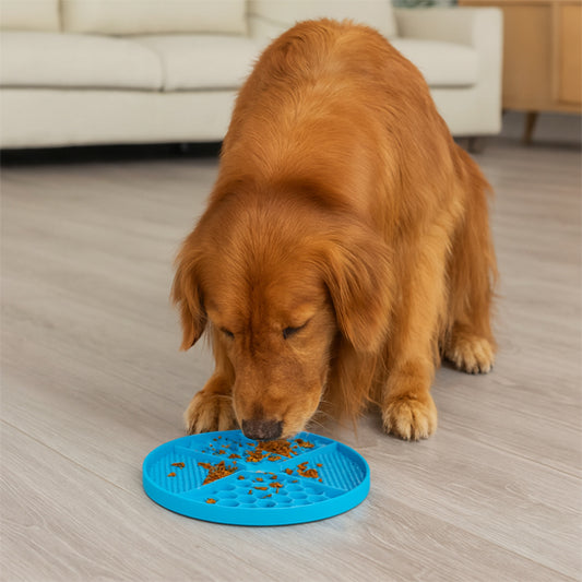 golden retriever léchant de la nourriture sur un tapis de léchage chien bleu posé au sol