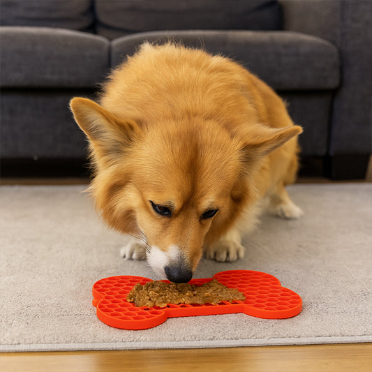 chien marron en train de lécher un tapis de léchage grand chien rouge posé au sol