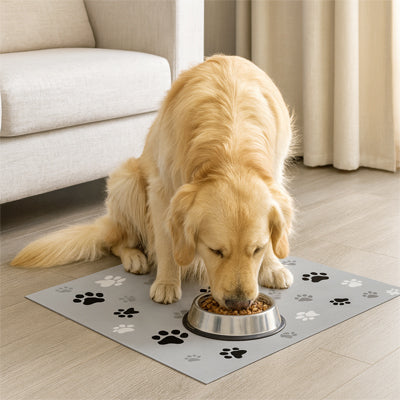 chien beige buvant dans une gamelle posée sur un tapis gamelle pour chien gris antidérapant et facile à nettoyer