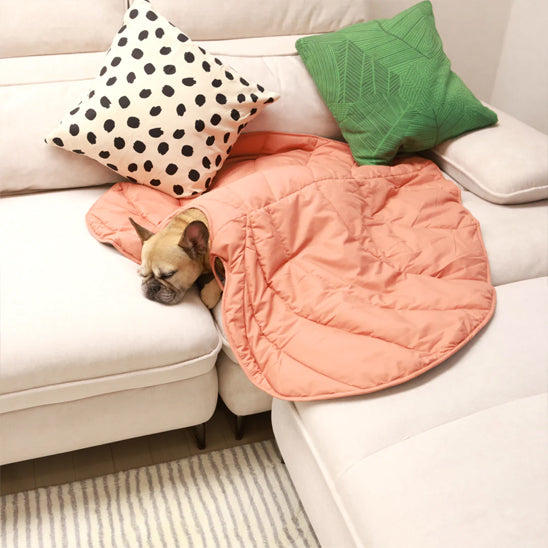 Tapis pour chien en forme de feuille rose, verte et jaune sur canapé
